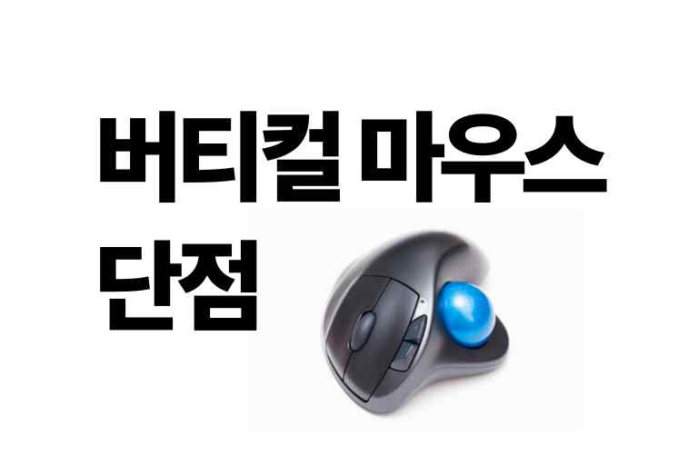 버티컬 마우스 치명적 단점 7가지