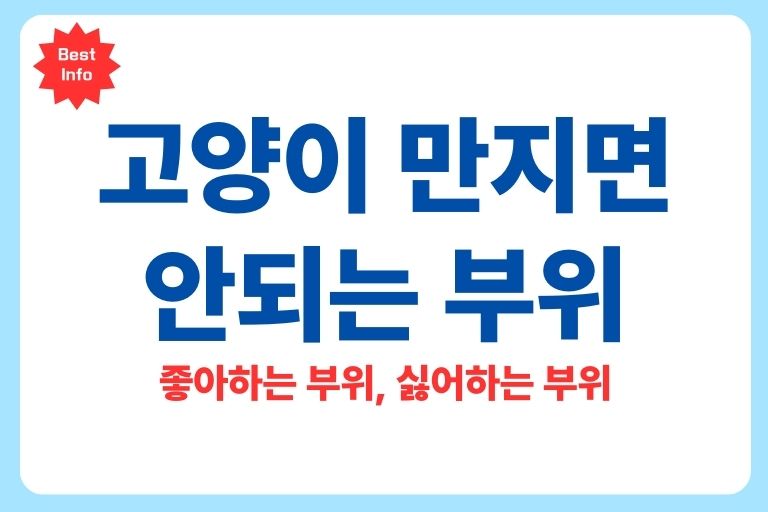 고양이 만지면 안되는 부위, 좋아하는 부위
