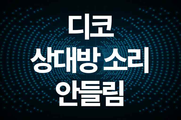 디코 상대방 소리 안들림 해결방법 6가지