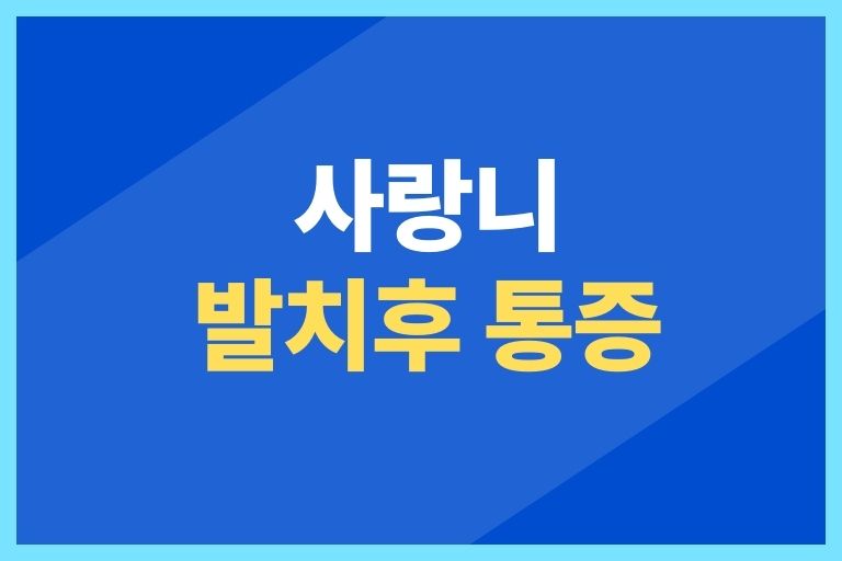 사랑니 발치후 통증