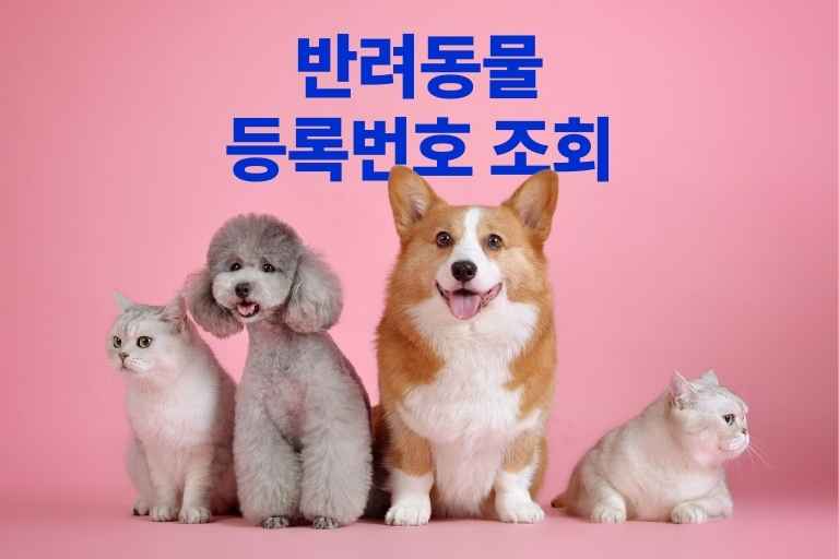 반려동물 등록번호 조회