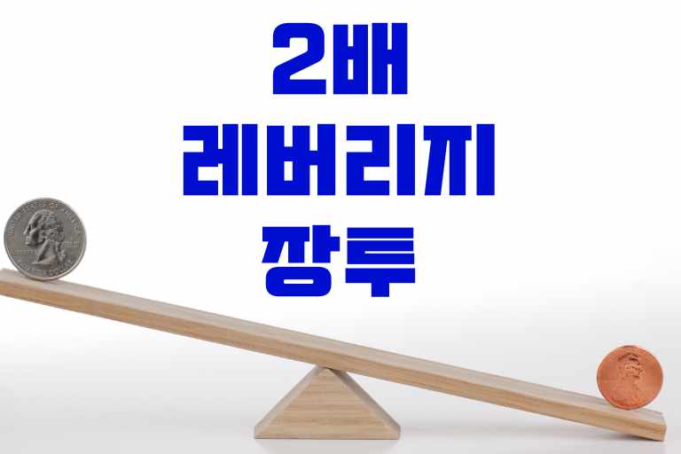 2배 레버리지 장투