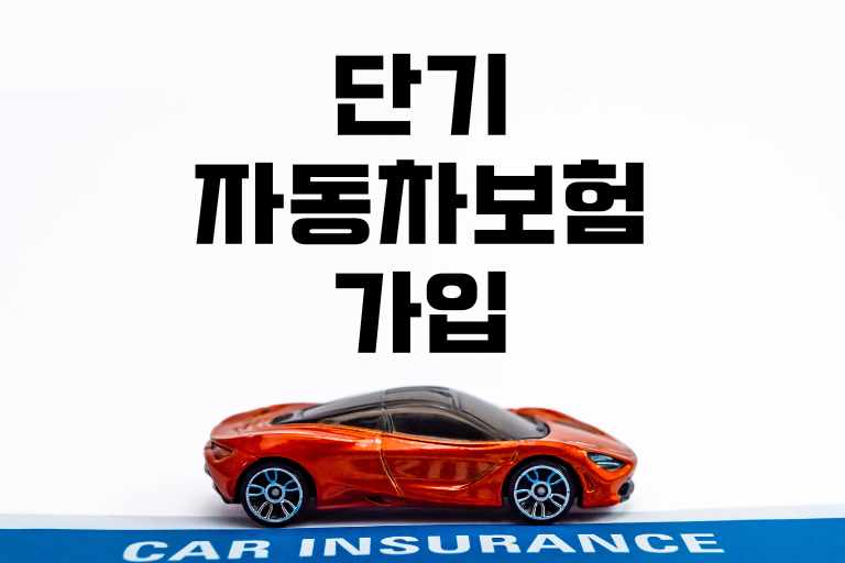 단기자동차보험 가입방법
