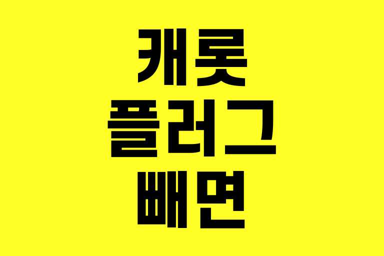 캐롯플러그 빼면