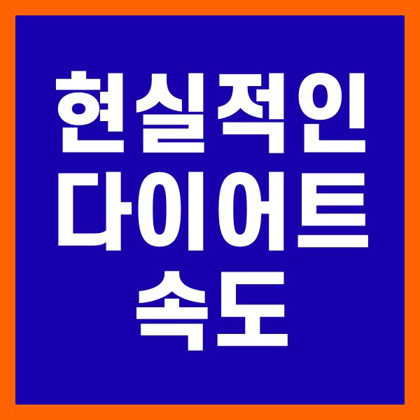 현실적인 다이어트 속도