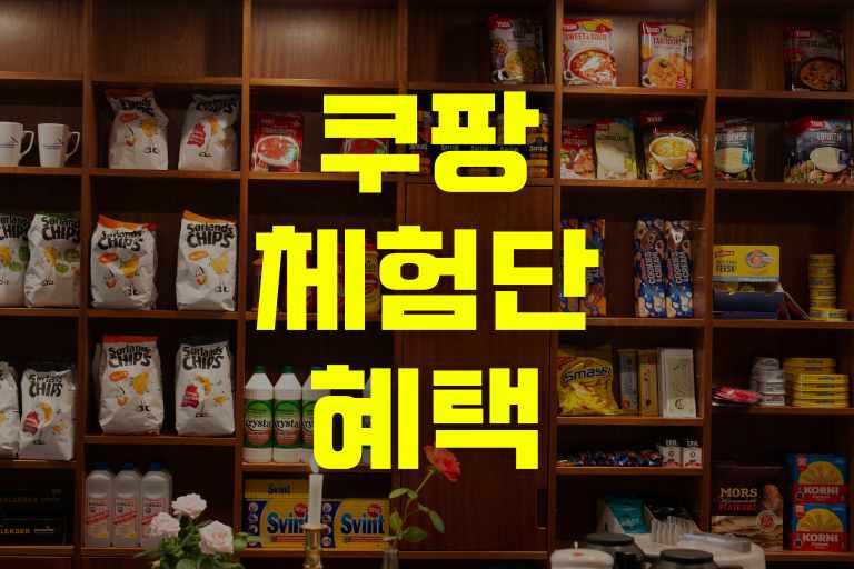 쿠팡 체험단 혜택