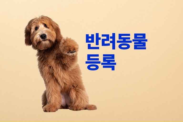 반려동물등록 하는 법