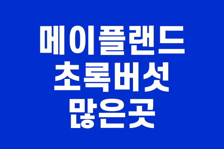 메이플랜드 초록버섯 많은곳