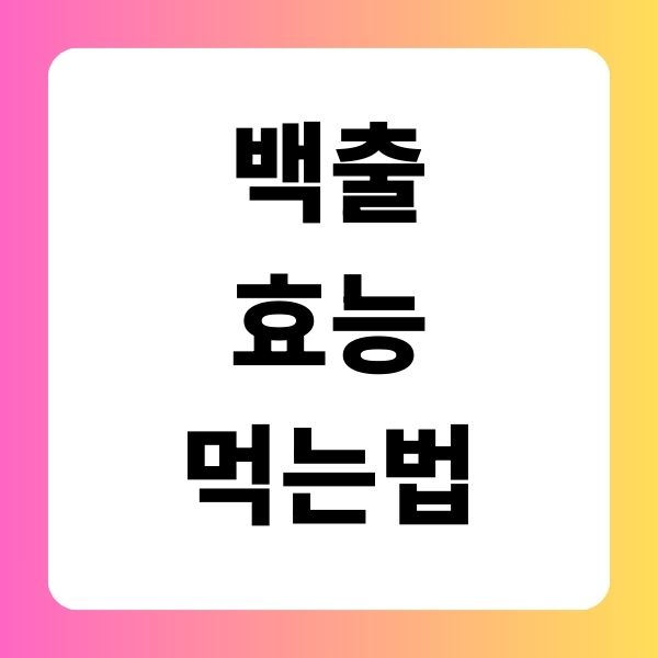 백출효능먹는법